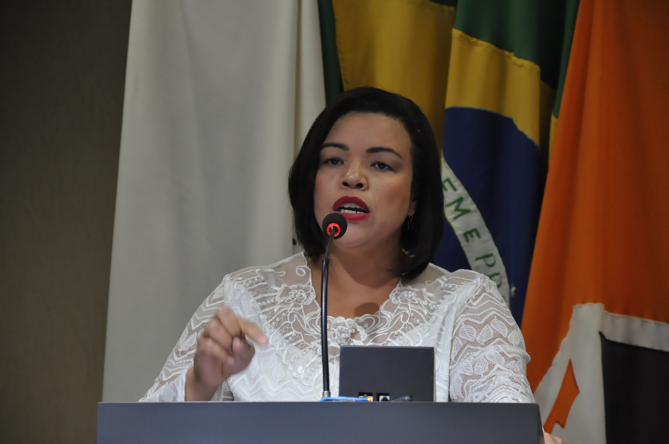 Ver. Janete Aparecida  -Reunião Ordinária 040, de 05 de julho de 2018 