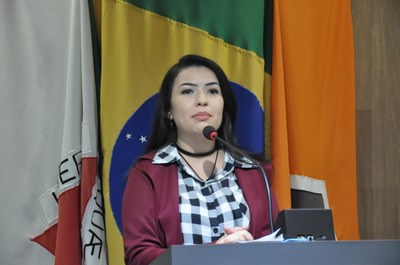 Liziane TV Câmara -Reunião Ordinária 028, de 17 de maio de 2018 