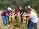 Vereadores de Divinópolis participam do plantio de 100 mudas de árvores no Bairro Fonte boa   